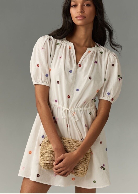 Anthro Velvet by Graham & Spencer Cleo Embroidered Mini Dress. Size S. MSRP  $179 | eBay
