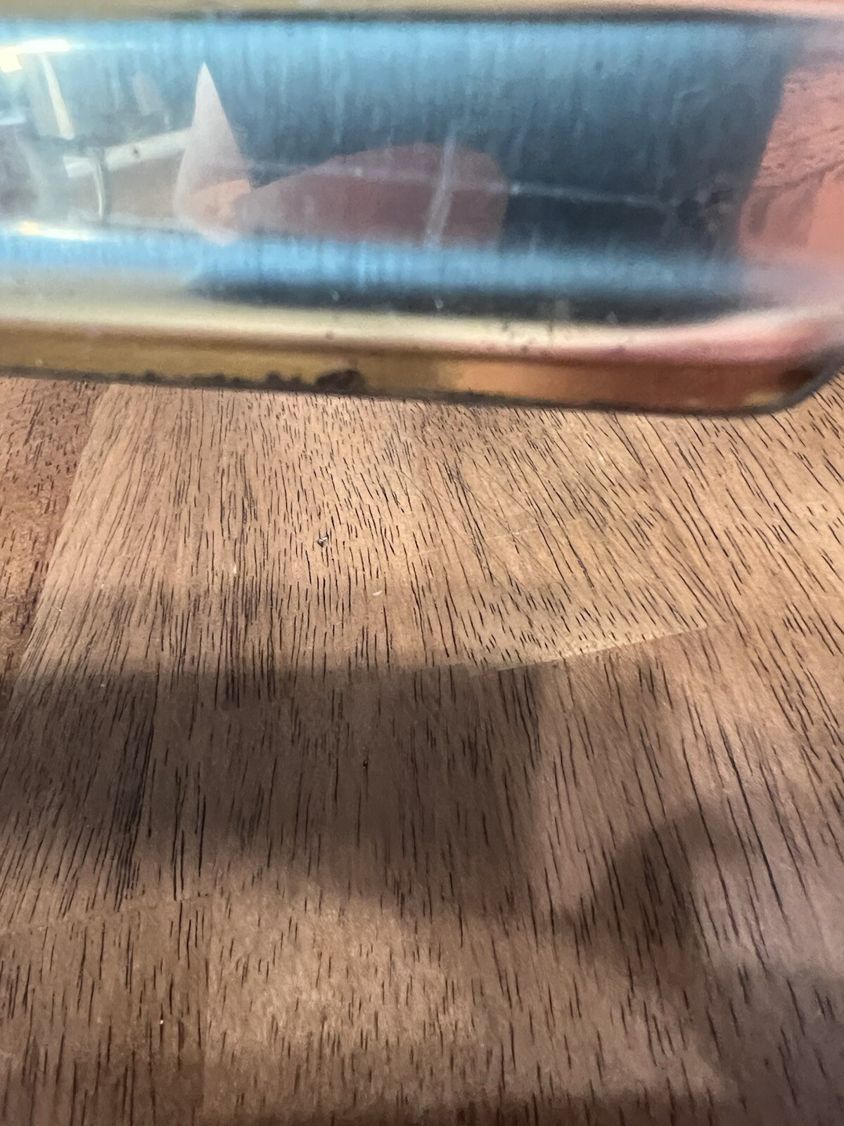 Picture 4 of 11