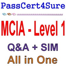 MuleSoft Certified Integration Architect MCIA - Level 1 Exam Q A SIM