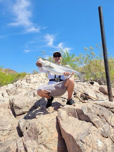 Lunker Punker Style Handmade Wood Topwater, Rainbow Trout Color, 6”in. 1.6oz.💥 - Picture 7 of 8