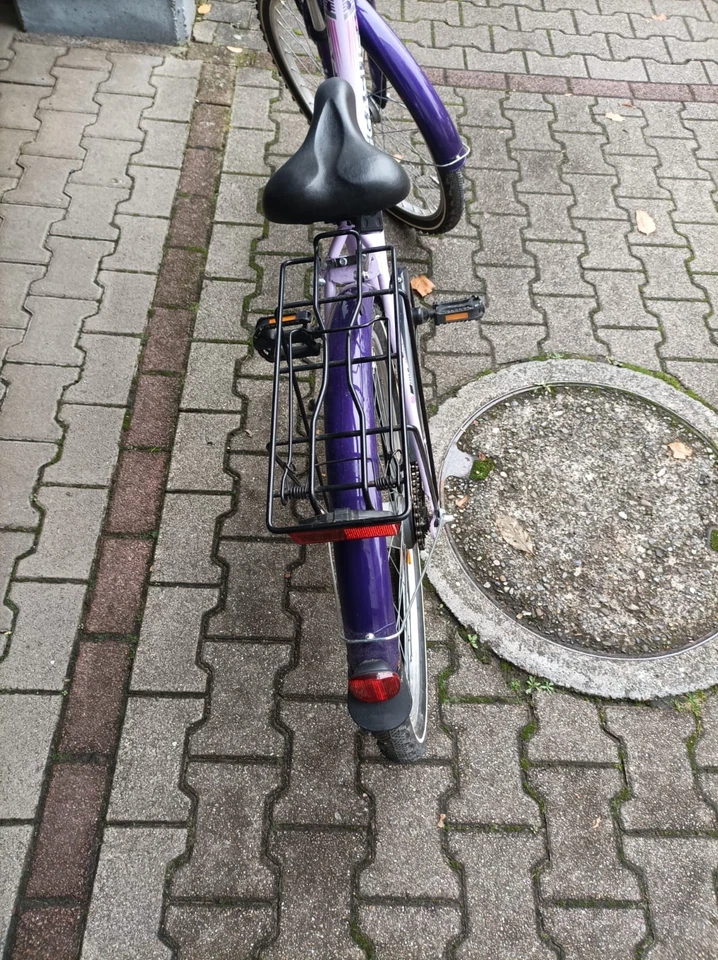 26zoll Mädchen fahrrad pegasus  - Bild 3 von 4