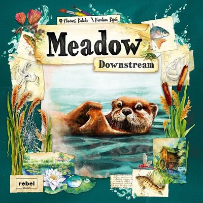 Meadow Downstream Expansion - Rebel