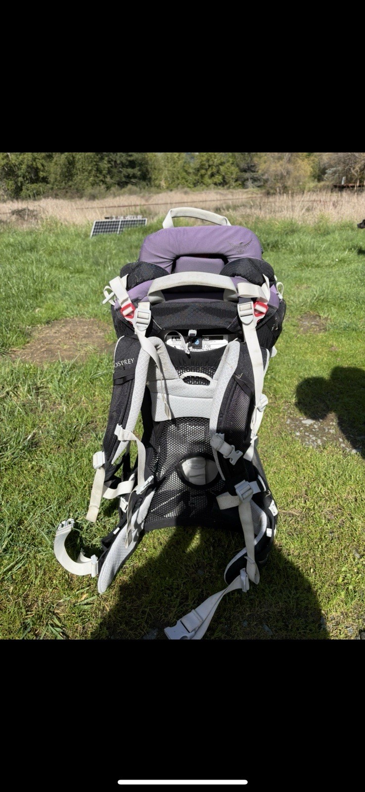 Osprey Poco Baby Backpack Carrier Black Gray Purple Buckle C