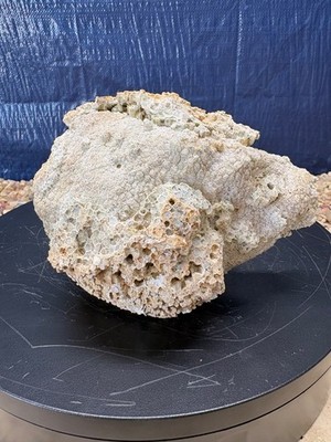 05# Silicified Coral Fossil Favosites Rock 4.75''x6.5''x05'' Aquarium Honeycomb