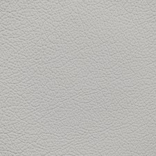 Lexus Neutral Gray Leather Dye