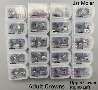 #ad Dental Permanent Molar Crowns Adult Preformed Temporary Crown Stainless Steel $697.50