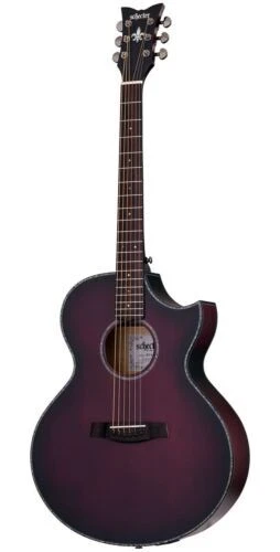Schecter 6 String Acoustic Guitars