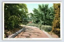 Postcard California Redlands CA Canyon Crest Park Palm Knoll 1910s Unposted