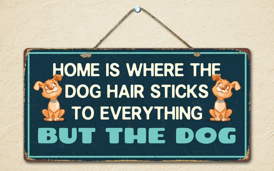 1877HS Home Is Where The Dog Hair Sticks To Everything But 5"x10