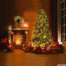 10'x10' Computer-painted CP Indoor Season Scenic background backdrop BHF1609