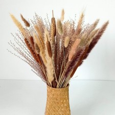 Dried Flowers Bouquet Dried Pampas Grass Bouquet Natural Flower Arrangements ...