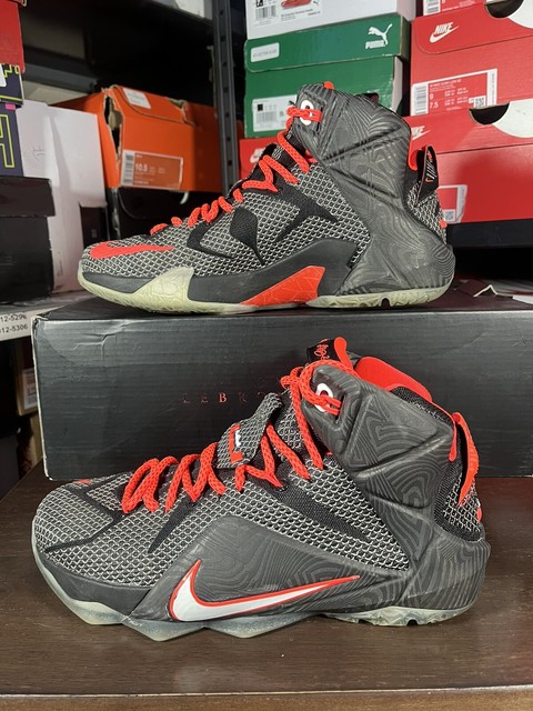 lebron 12 court vision