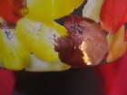 Bild 6 von 9