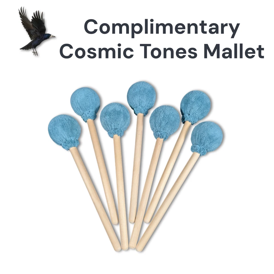 Sun Gong de Raven Sounds, Gong de viento de bronce hecho a mano, mazo gratis Foto 3 de 4