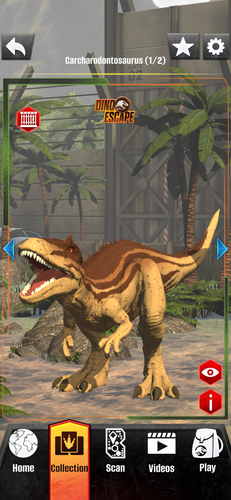 Carcharodontosaurus - Picture 3 of 3