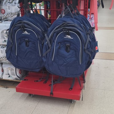 High Sierra Blue/Gray Backpack External Pockets Multiple Compartments Zip