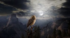 Landscape dark moon fantasy art animals birds Custom Gaming Mat Desk