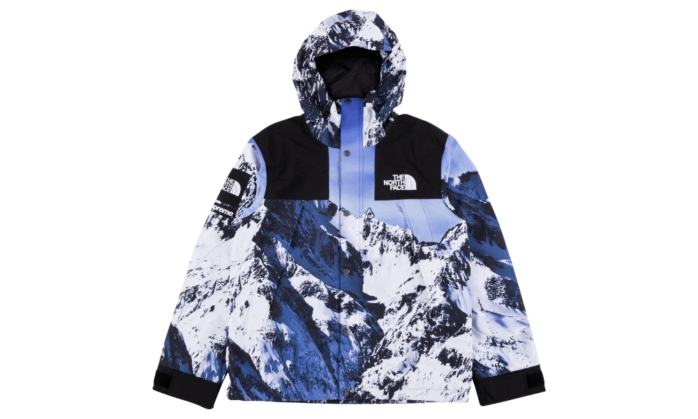 DS New Supreme The North Face Mountain Parka Medium M FW17 2017