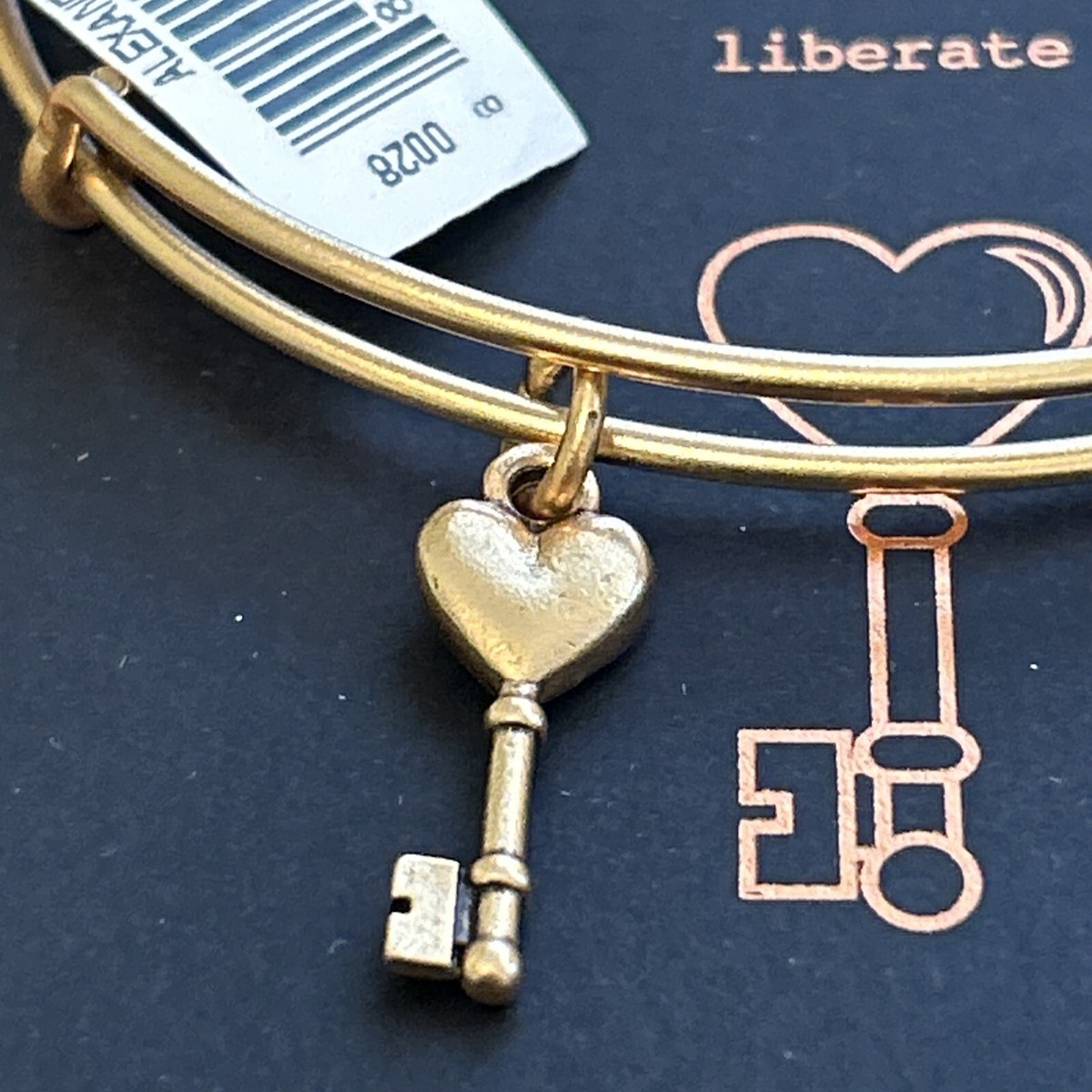 NWT Alex and Ani 