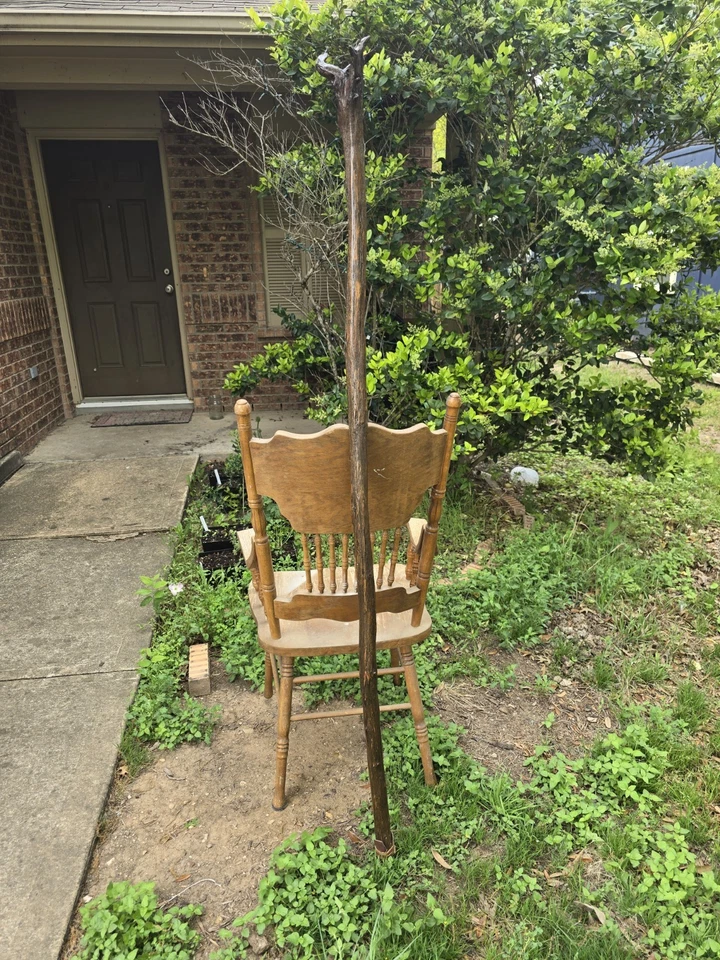 Madera de cedro clásica Wizard Staff de 70" de alto Texas. Lijado, teñido y lacado Foto 3 de 4