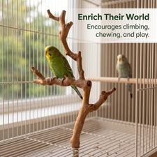 Grape Wood Bird Perch, Natural Bird Cage Perch