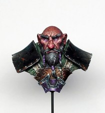 Pro Painted - Dwarf Bust from