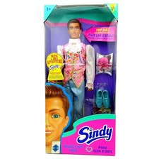 1995 Hasbro Sindy Magic Eyes Paul Doll