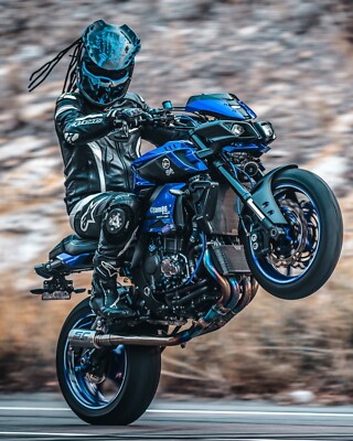 TOP PREDATOR MOTORCYCLE HELMET FIRE STYLE (DOT