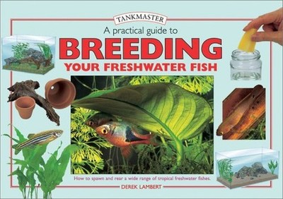 A Practical Guide to Breeding Your F..., Lambert, Derek