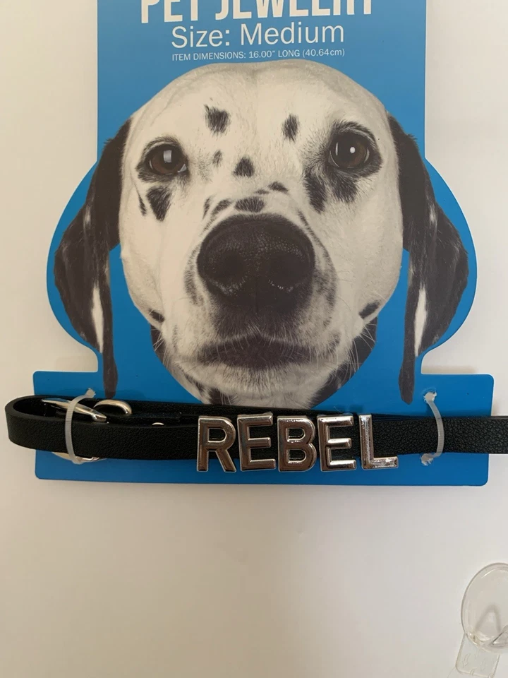 Dog Jewelry Name Collar. (Size Medium ) - Image 4 of 4