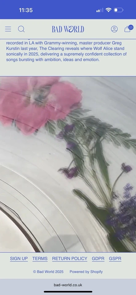 Wolf Alice - Flower Filled Vinyl -The Clearing - - Blood Records - Mint - Poster - Image 4 of 4