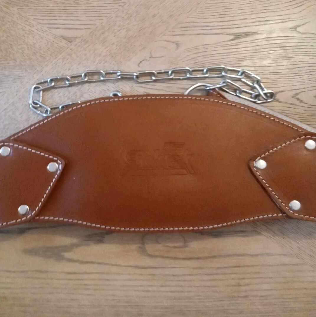 Schiek Sports Weight Machine Attachment. Back Exercise Fitness Workout Equipment