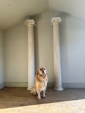 Antique wooden Corinthian columns