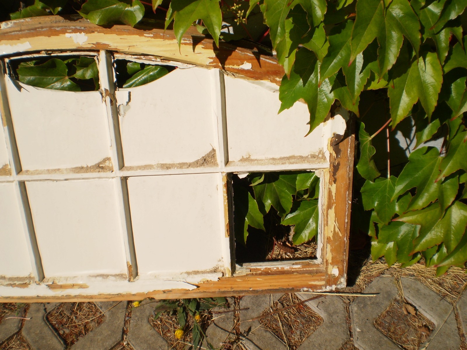Bild 12 von 12