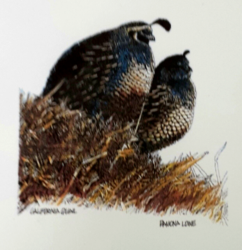 Tarjeta de nota en blanco 'California Quail' por Ramona Lowe impresión sobre pequeño 3,5" x 5" - Imagen 1 de 3