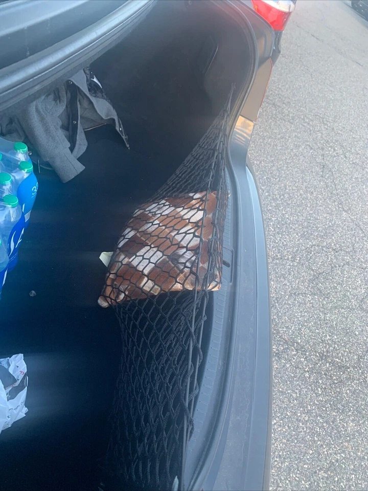 Red de carga estilo sobre maletero trasero para LEXUS LS430 LS460 LS600h 2001-2017 nueva Foto 3 de 4