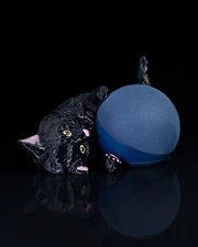 Cat and Yarn Holder for Echo Dot 4th and 5th gen / Alexa - Stand *Made in USA*