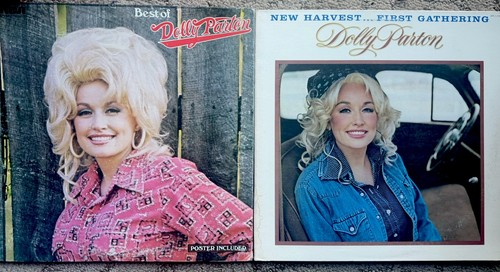 Lot Of 12 Vintage Dolly Parton 12" Vinyl LP Records 33 RPM Jolene Heartbreaker - Photo 6/11