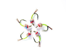 Rainbow Warrior Nymphs Chartreuse - Premium Trout Fly Fishing Flies