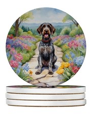 German Wirehaired Pointer Spring Path Large S...