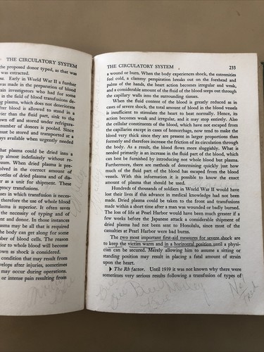 Prinzipien eines gesunden Lebens für den Einzelnen und die Gemeinschaft Medizin 1948 - Bild 9 von 12