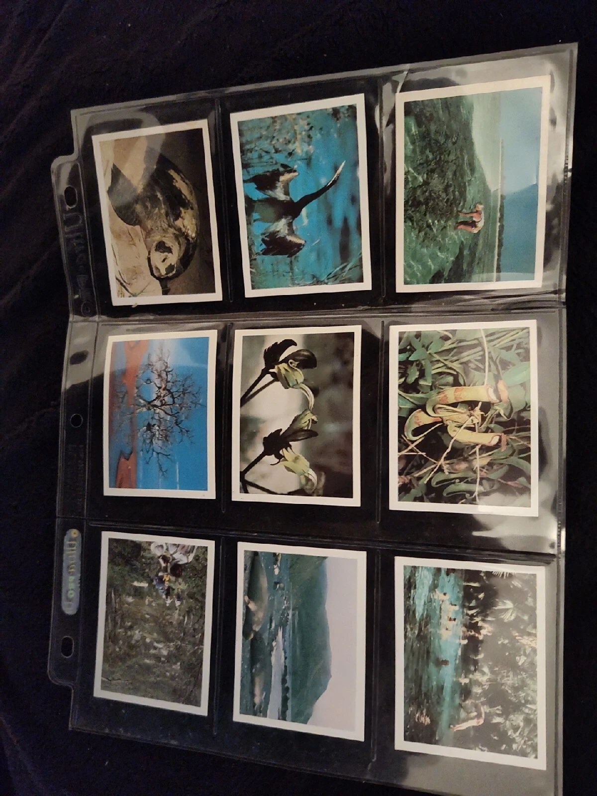 Picture 1 of 2