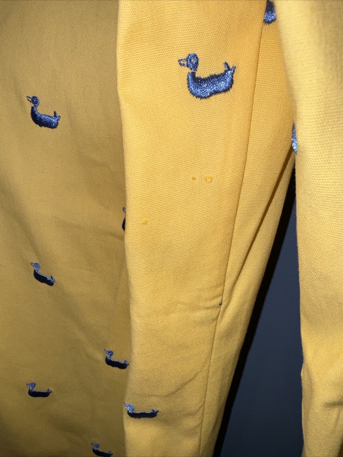Picture 6 of 8