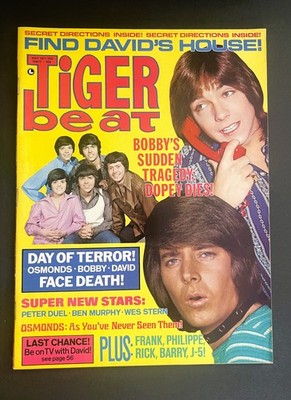 Tiger Beat Magazine May 1971 Vintage Celebrity Teen Idols Stars Pin-Ups 70s