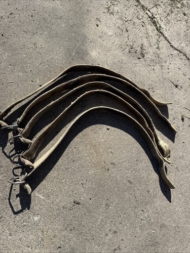 Dairy Tie Stall Barn Neck Collar Lot Of 5