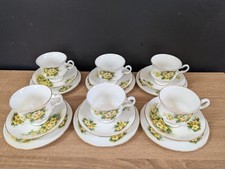 Gainsborough Ridgway Primulet 18 Piece Bone China Tea Set VGC
