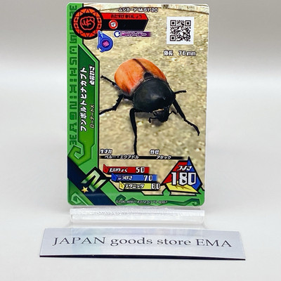 【レトロ】THE BEETLES OF THE WORLD 3Dカード Mushiking The King of Beetles Card Game Humboldt beetle M-S1-20