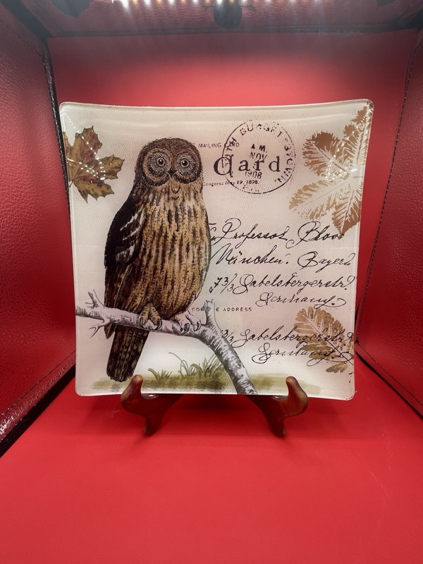 Owl Big Eyes True To Life Decorative Square Glass Plate From 2015  10" Inches