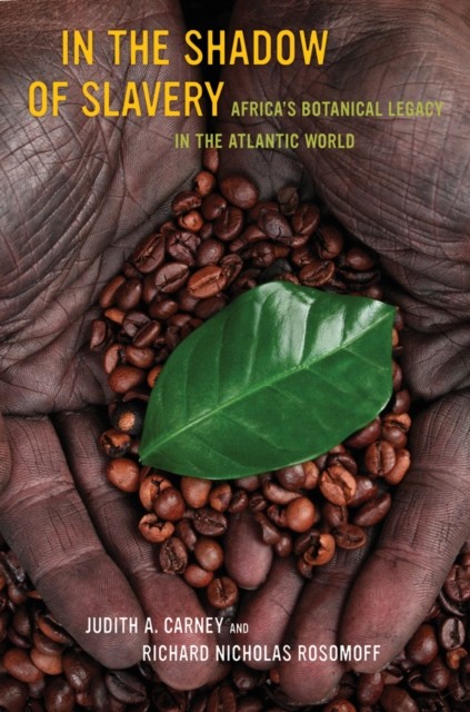 In the Shadow of Slavery – Africa′s Botanical Legacy in the Atlantic World - Image 3