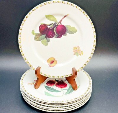 6 Queens Royal Horticultural Society Hookers Fruit Salad Plates 8 5/8  READ